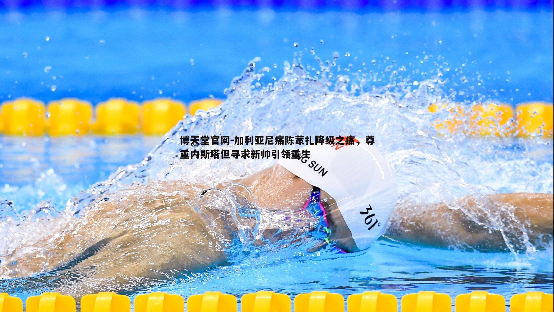 加利亚尼痛陈蒙扎降级之痛，尊重内斯塔但寻求新帅引领重生